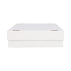 BCW Monster Storage Box (3,200 CT.)