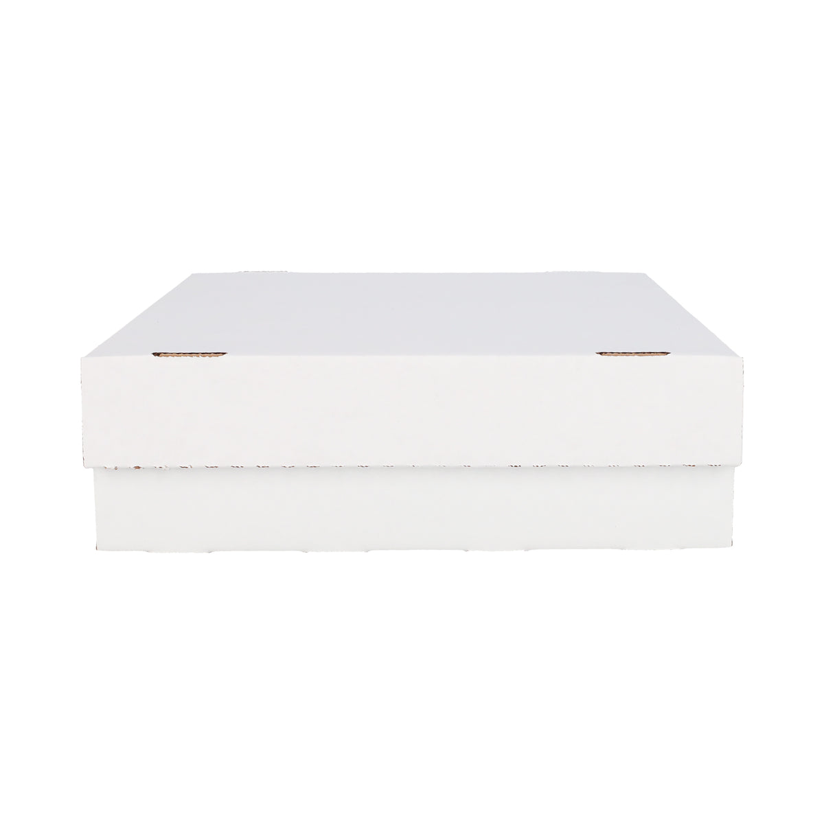 BCW Monster Storage Box (3,200 CT.)