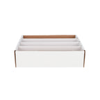 BCW Monster Storage Box (3,200 CT.)